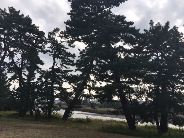 西河原公園周辺②多摩川に行ってきました!