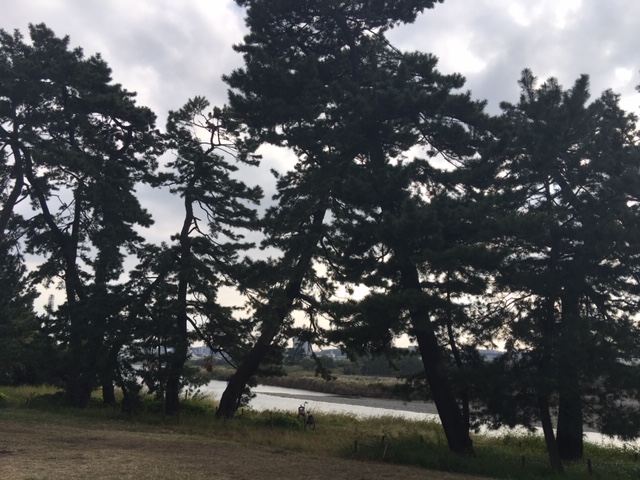 西河原公園周辺②多摩川に行ってきました！