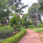 中和泉3丁目 限定6区画 土地