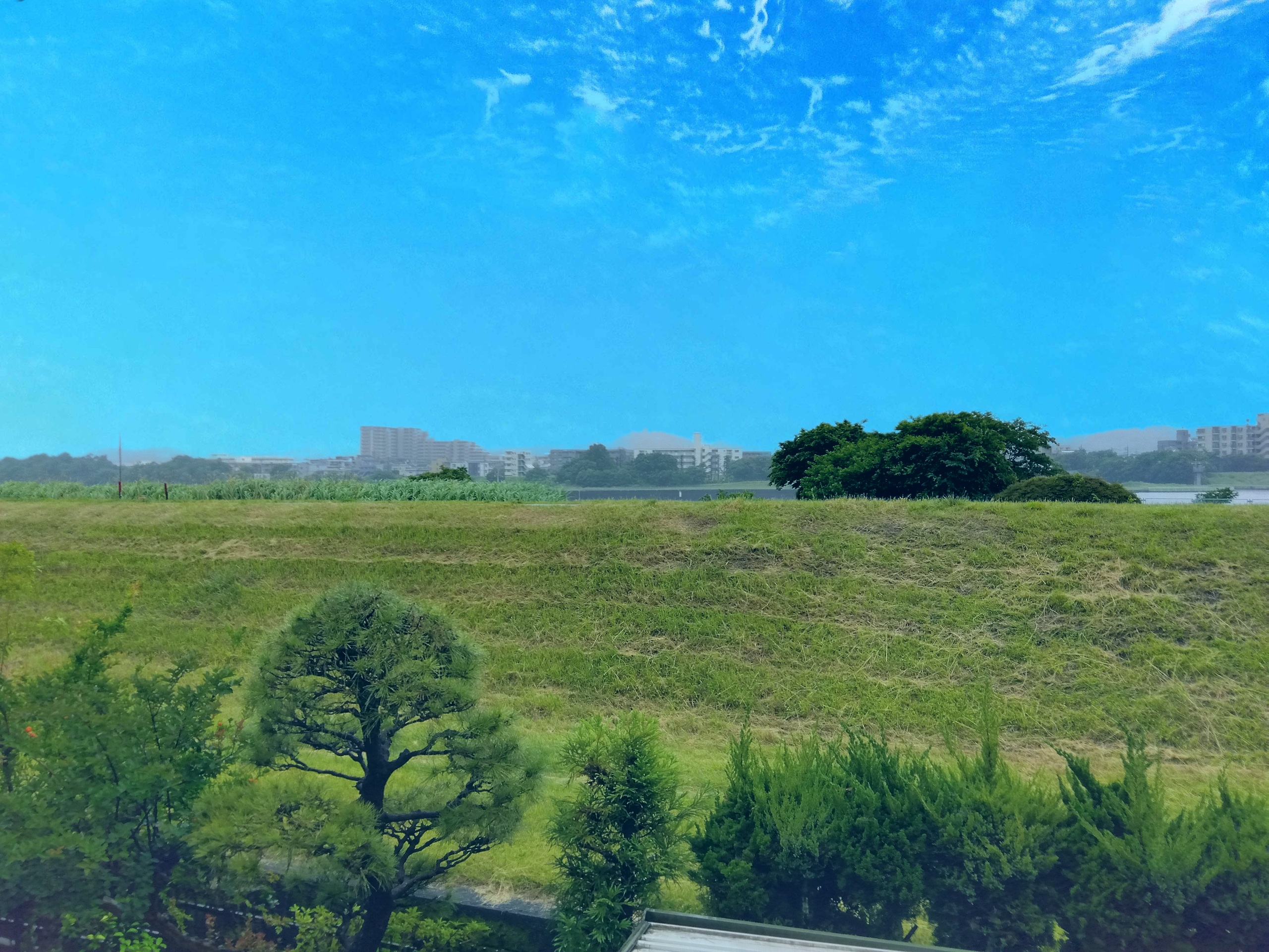 新着情報